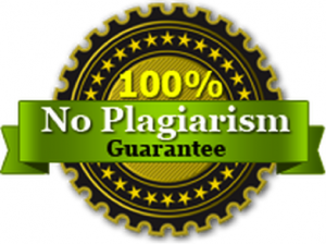 Plagiarism-Free Guarantee